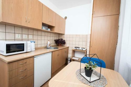 Apartamento Hotelov� D?m T?inec