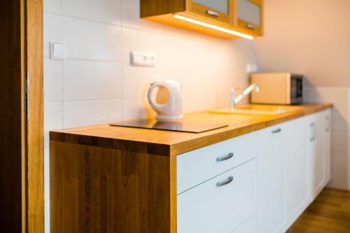 Hostal Penzion U Barana