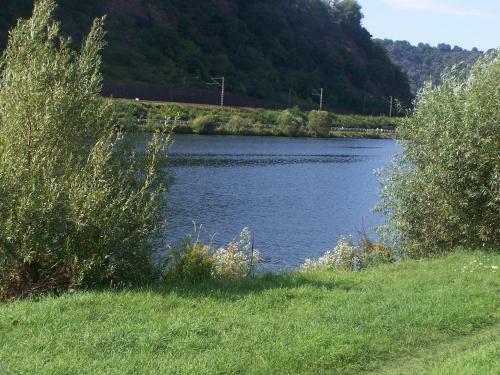 Apartamento Ferienwohnungen Alken