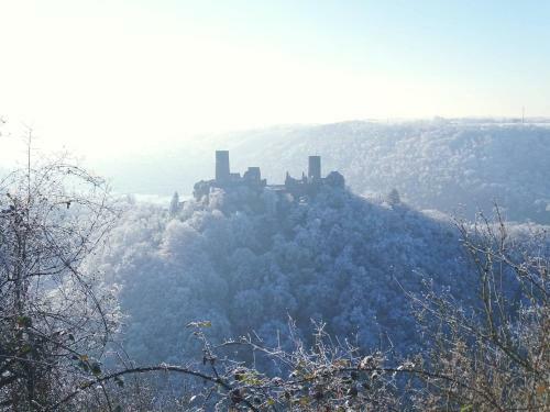 Moselhotel Burg-caf�