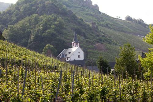 Hotel Winzerhof Brachtendorf
