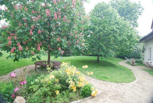 Hostal Ivanek Guest House