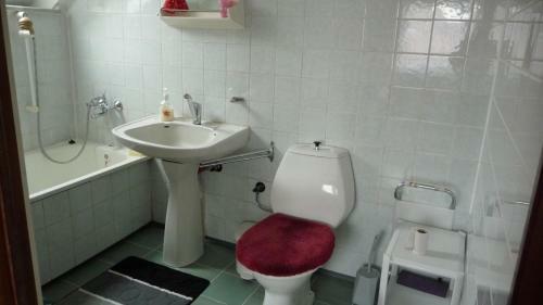Hostal Apartman U Hanicky