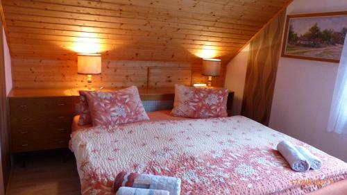 Hostal Apartman U Hanicky