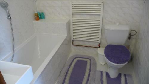 Hostal Apartman U Hanicky