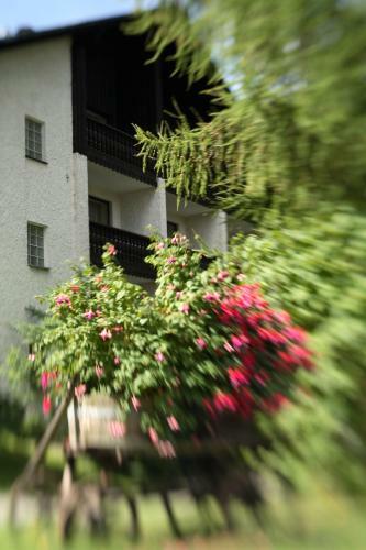 Posada Landhaus Am Forst - Apartments