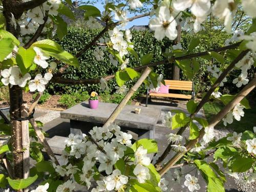 Bed & Breakfast Villa Eltins