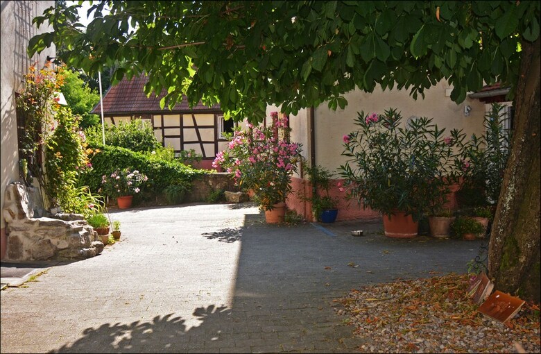 Hotel Herberge Zur Traube