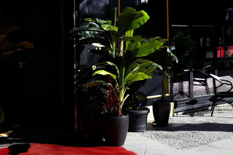 Hotel Provocateur Berlin