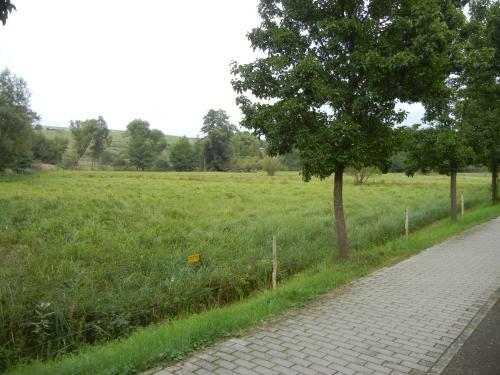 Hostal G�stehaus Monika