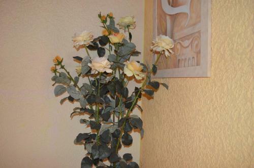 Hostal G�stehaus Monika