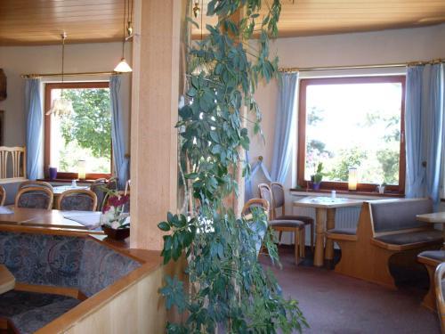 Hostal Hotel Wildenburger Hof