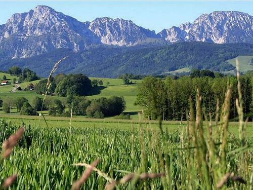Hostal Pension Ramst�tter