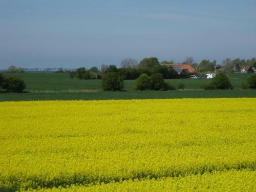 Zollhaus Strukkamp