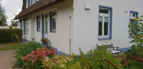 Apartamento Landhaus Am Haff - Wohnung B1 - [#95828]
