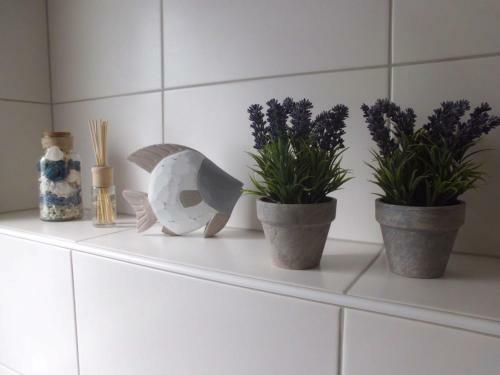 Apartamentos Ferienwohnungen An Der Rodach