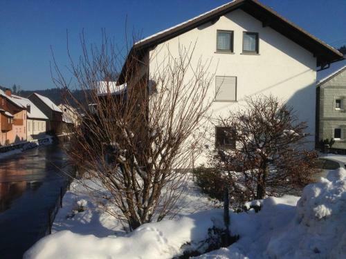 Apartamentos Ferienwohnungen An Der Rodach