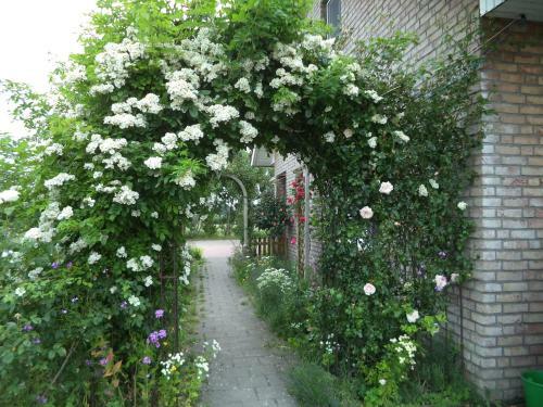 Apartamento Rosenhaus-bocksruede