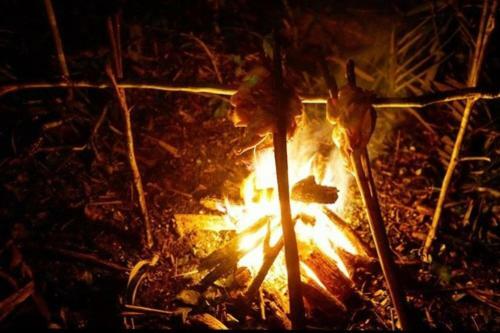 Lodge Anaconda Amazon Island