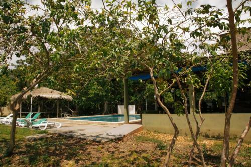 Lodge Anaconda Amazon Island