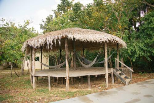 Lodge Anaconda Amazon Island