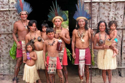 Lodge Anaconda Amazon Island