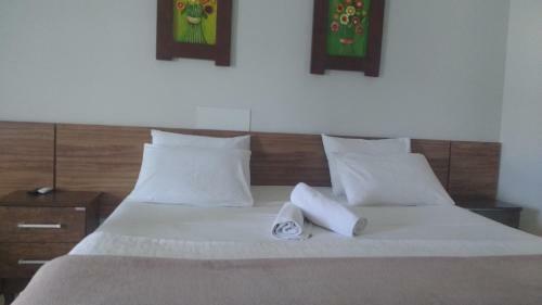 Hostal Pousada Das Araras