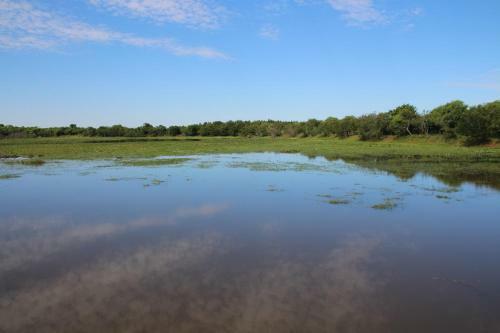 Agroturismo Pousada Do S�tio Preserva