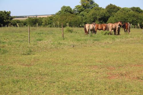 Agroturismo Pousada Do S�tio Preserva