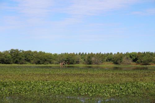 Agroturismo Pousada Do S�tio Preserva