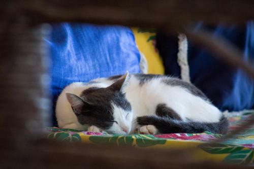 Bed & Breakfast Kite Pousada Escape Brasil