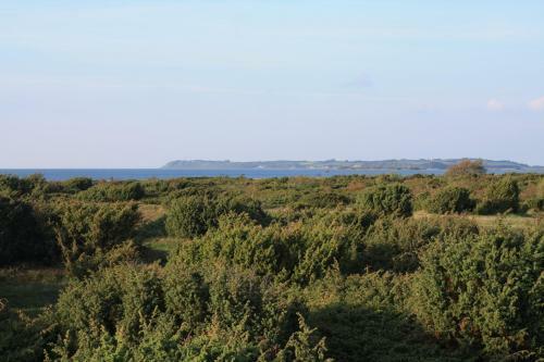 Vesterlyng Camping And Cottages