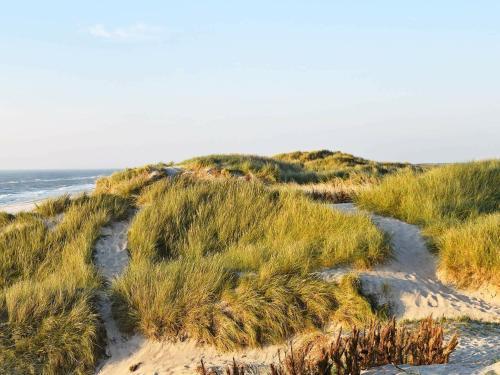 Holiday Home Hvide Sande VII