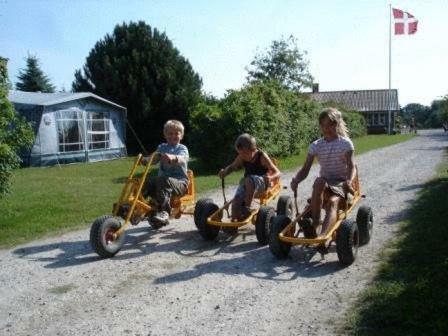 R�dvig Camping & Cottages