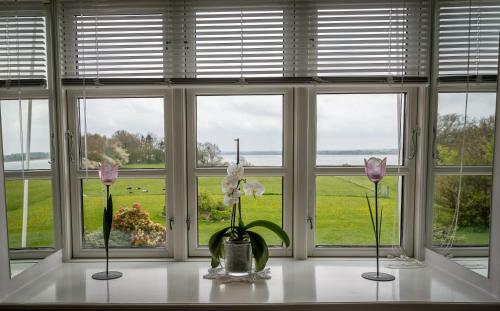 Jungshoved Pr�steg�rd B&B