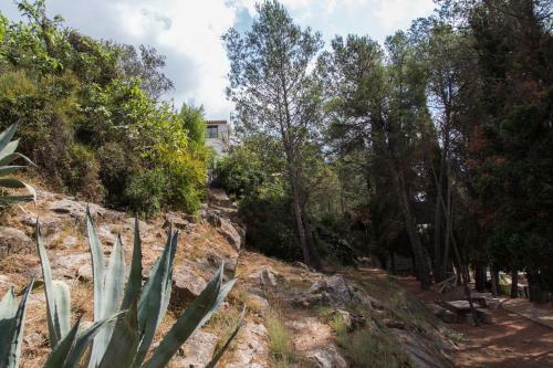 Espadan Mountain Cottage