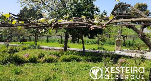 Albergue A Xesteira