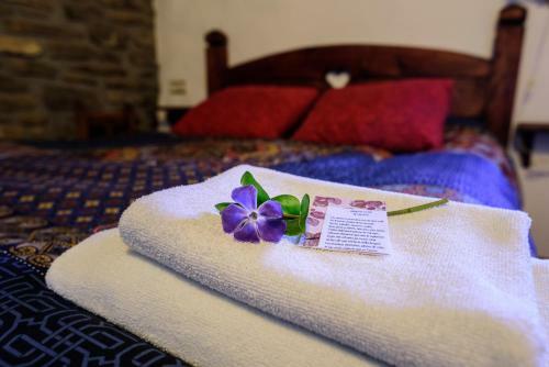 Bed & Breakfast Casa Marina
