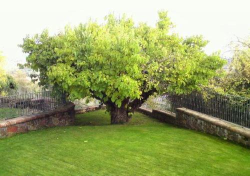Agroturismo Hotel Rural "el Patio de La Morera"