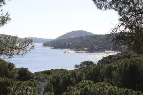 A Orillas Del Lago
