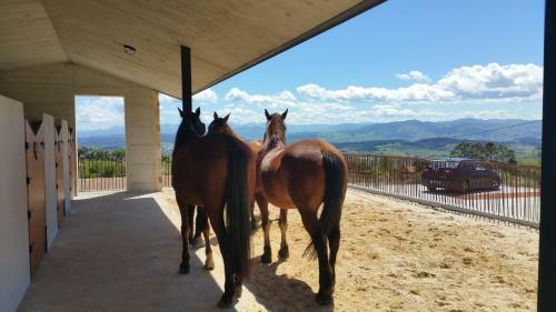 Agroturismo Niditas
