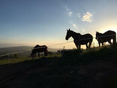 Agroturismo Niditas