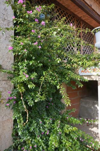 Bed & Breakfast Chambre D?h�tes Nature Et Saveurs