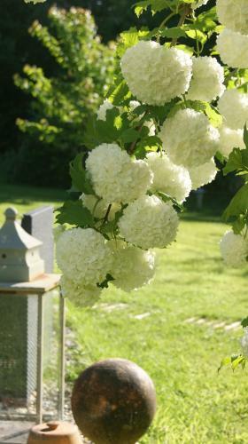 Bed & Breakfast Un Parfum de Violette