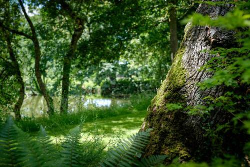 Bed & Breakfast Manoir Du Bois de Grez