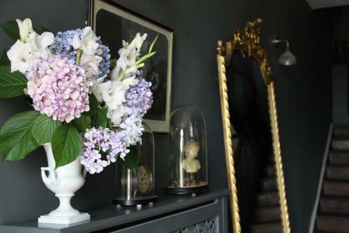 Hostal Vintage Vert