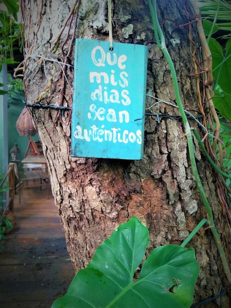 Hostal Recanto De Sophie