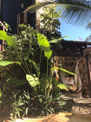 Hostal Pousada P� Na Areia