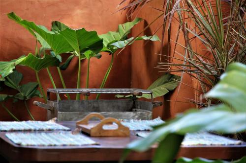 Casas Das Gaivotas