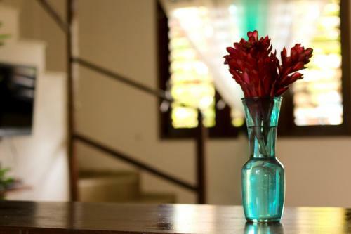 Hostal Pousada Sol E Luna
